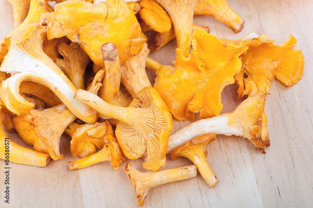 Chanterelles on wooden board Chanterelles on wooden board