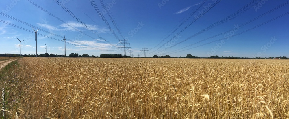 image to crop