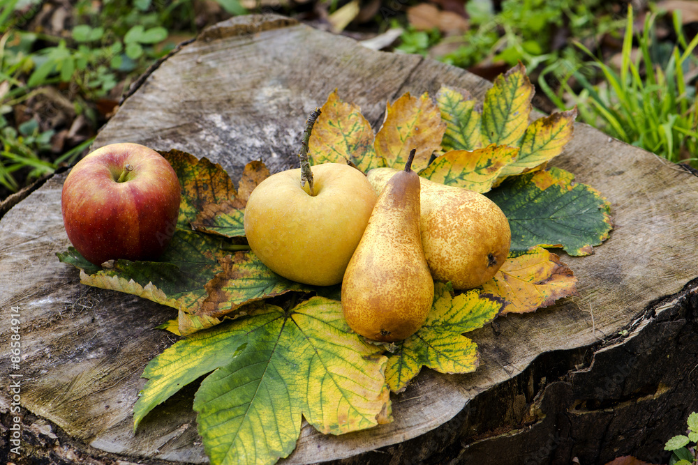 Apple and pear Apple and pear