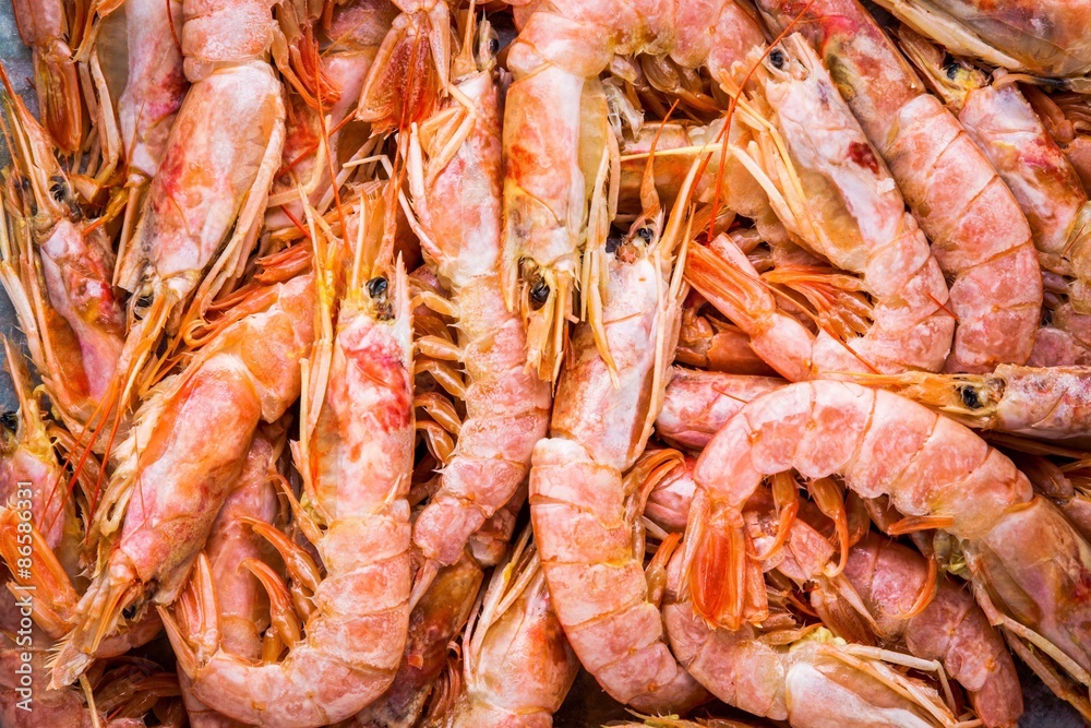 fresh raw shrimps close-up, background fresh raw shrimps close-up, background