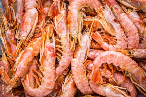 fresh raw shrimps close-up, background