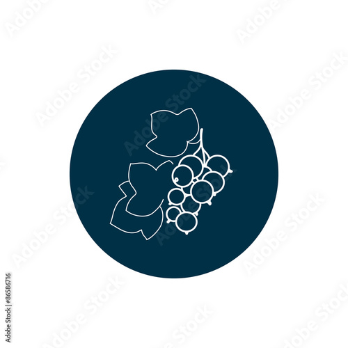 Blackcurrant, Colorful Round  Icon Blackcurrant, Fruit Icon, Berry Icon, Vector Illustration