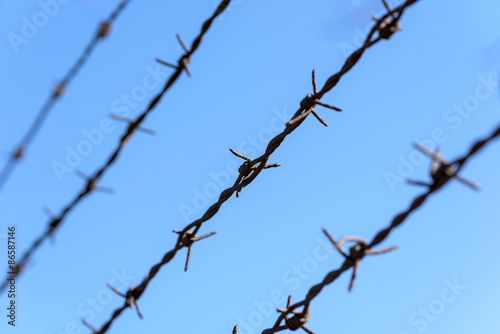 Prison Rusty Barbed Wire On Blue Sky