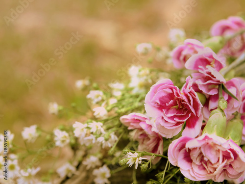 Vintage Flowers