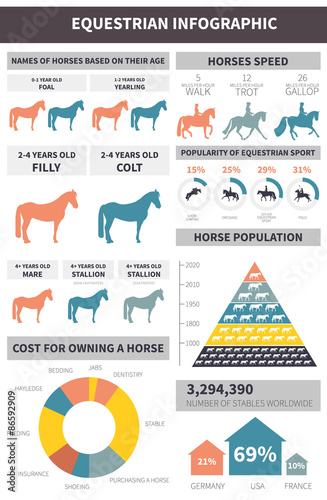 Equestrian infographic