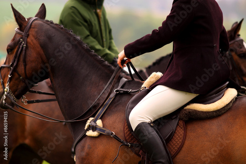 Woman riding horse Woman on horse talking to another rider at a hunt,