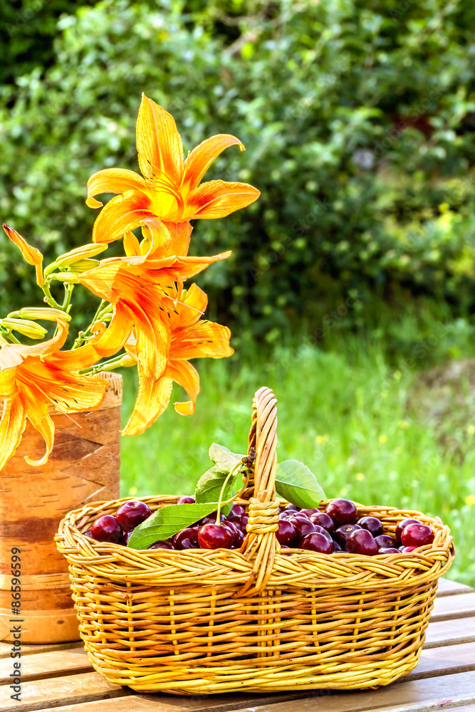 Cherries in a basket and flowers daylily Cherries in a basket and flowers daylily