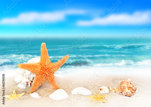 Seashells on seashore in tropical beach - summer holiday background