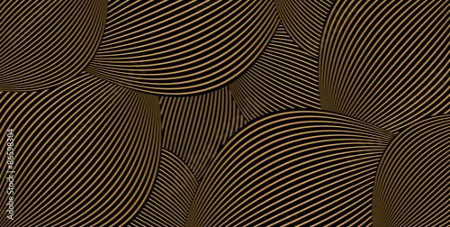 Obraz na plátne the composition of the gold lines on a black background