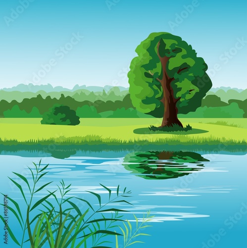 Summer landscape with pond