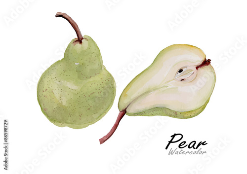 Pears set.Hand drawn watercolor painting on white background .Green pear.Vector illustration