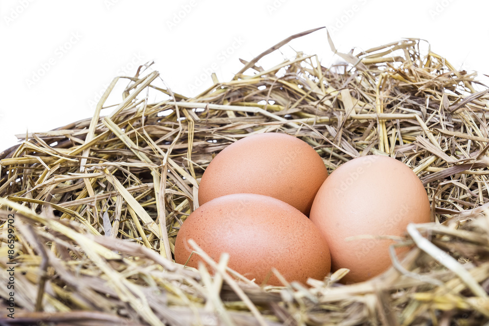 Three fresh eggs from chicken farm is good for healthy on straw Three fresh eggs from chicken farm is good for healthy on straw
