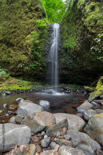 Mossy Grotto Falls