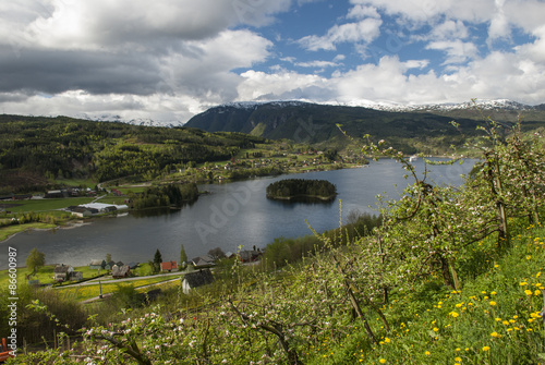 View overlooking Hardangerfjord photo