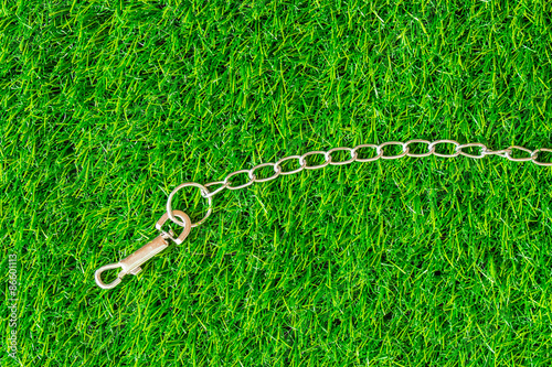 chain interpreter dogs on green grass texture background eco con photo