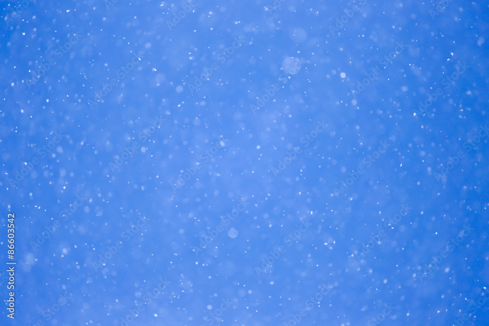 Fototapeta premium snowing on a blue sky