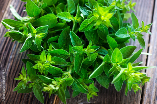 bunch of raw green herb marjoram photo