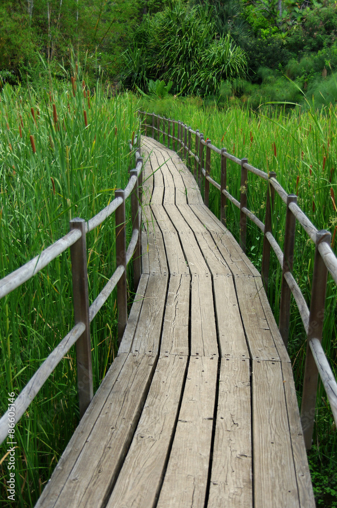 La Réunion - Chemin de bois
