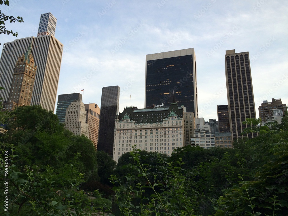 Naklejka premium central park view