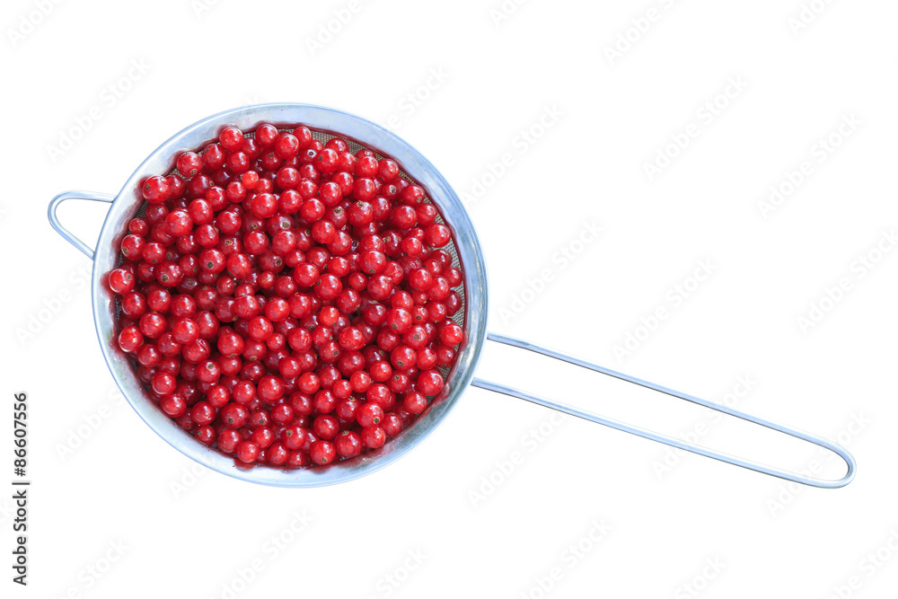 frische, rote Johannisbeeren im Sieb, freigestellt frische, rote Johannisbeeren im Sieb, freigestellt