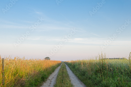 landscape with country road in summer