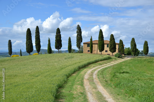 Typical Tuscan landscape. Italy