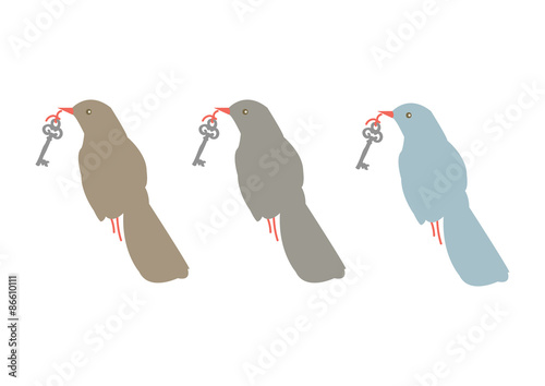 Bird with Key