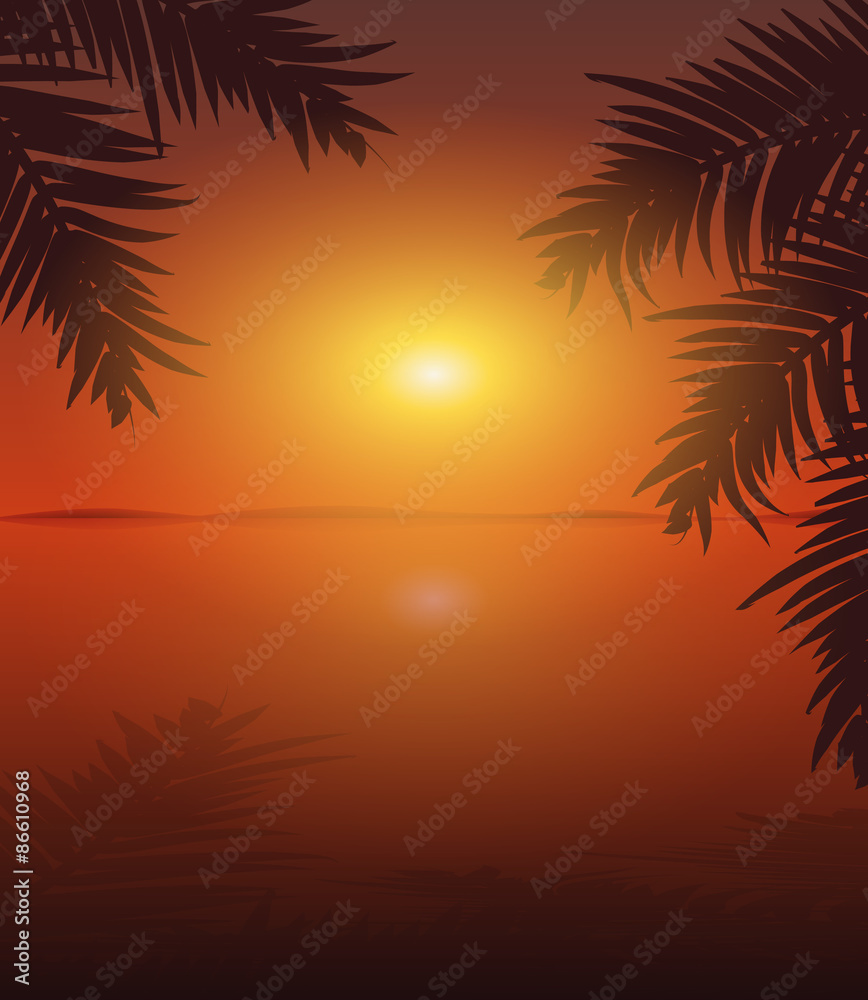 vector sunset among the palms