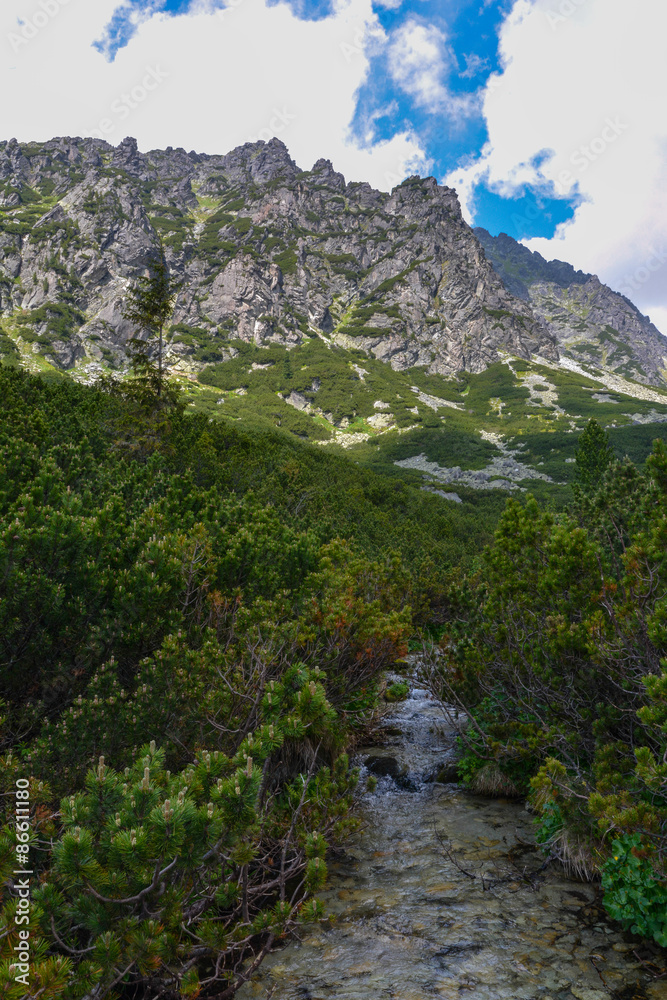 Mlynicka dolina, Vysoke Tatry (Mlinicka valley, High Tatras) - Slovakia
