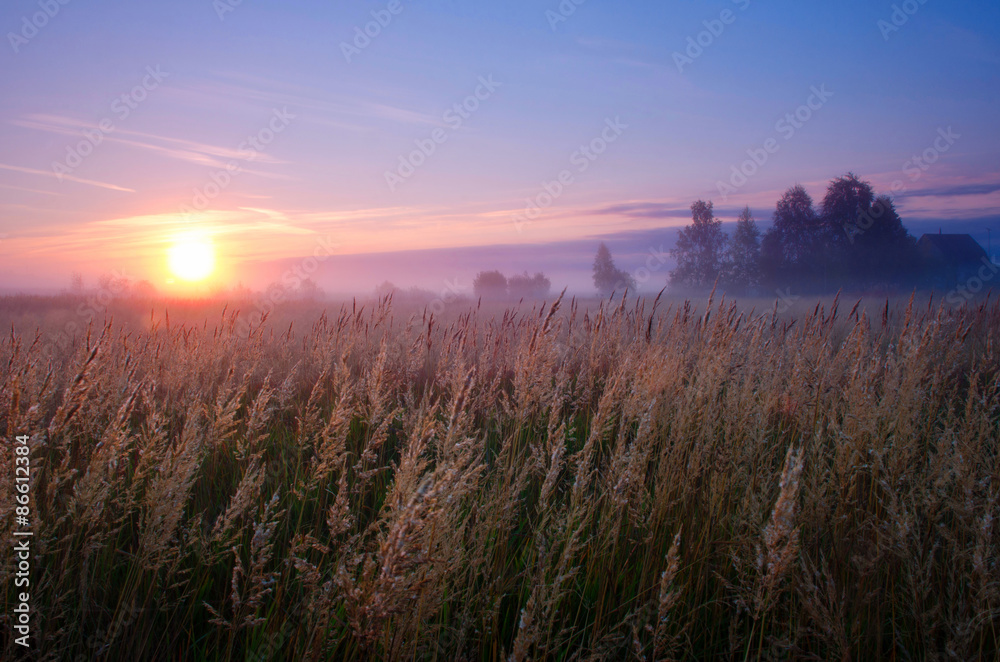 Fototapeta premium Foggy sunrise in village. Russian nature