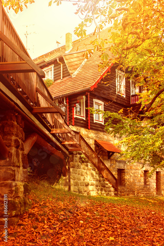 Sunny forest with a wooden bridge