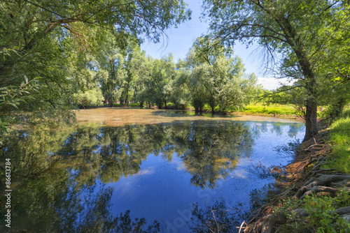 reflection of flooded trees in lake