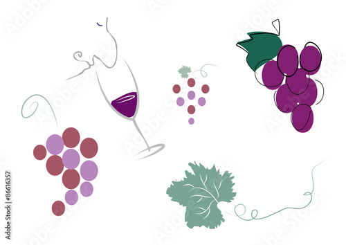Fruit of the VIne
