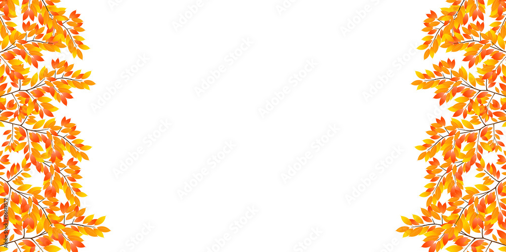 もみじ　紅葉　背景