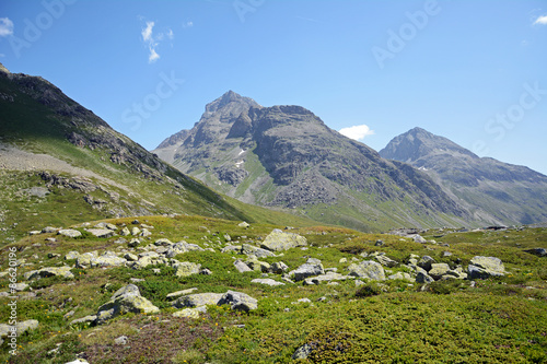 Julierpass mit Piz Julier und Piz Albana photo