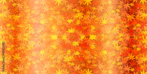 もみじ　紅葉　背景