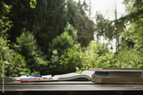 summer homework photo