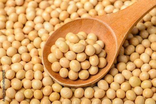food background of yellow raw soybean, tilt shift lens