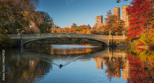 Fall colors in Central Park, New York City photo