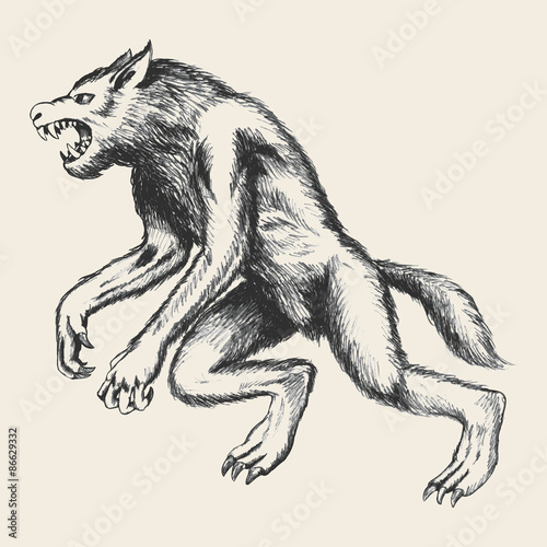 Werewolf Sketch