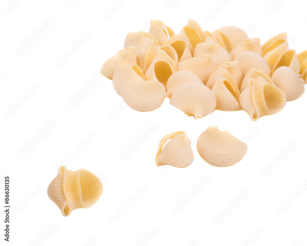 Close up of Italian pasta shells. Close up of Italian pasta shells.