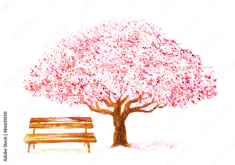 Fototapeta premium watercolor hand drawn cherry tree and bench on white