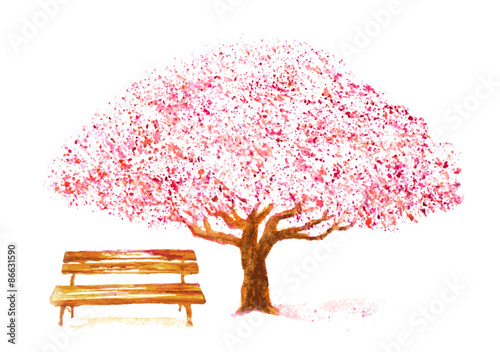 watercolor hand drawn cherry tree and bench on white