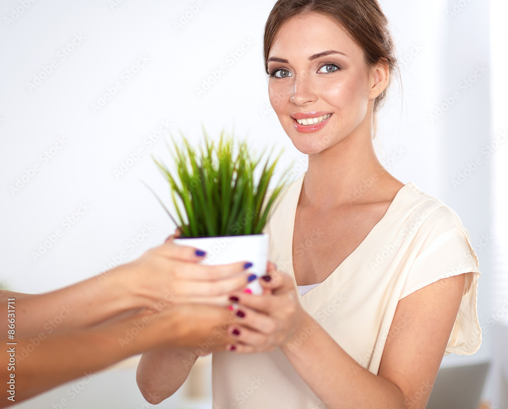 Beautiful woman holding pot with a plant, standing Beautiful woman holding pot with a plant, standing