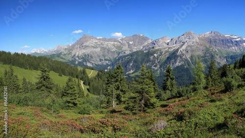 Summer landscape near Gstaad