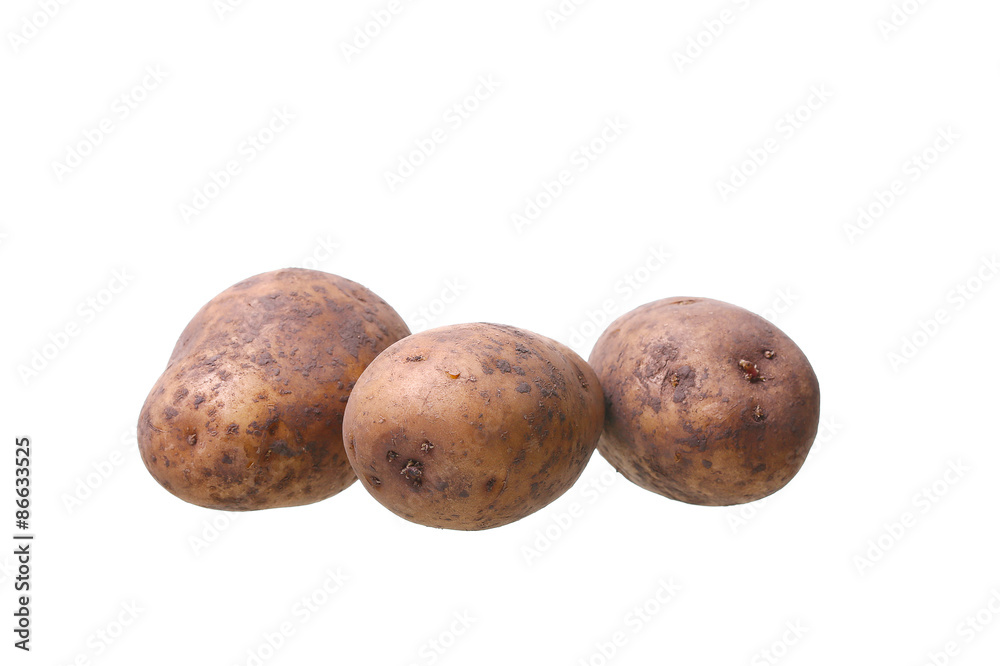 potato isolated on white background close up potato isolated on white background close up