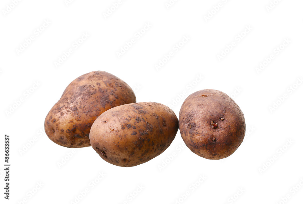 potato isolated on white background close up potato isolated on white background close up