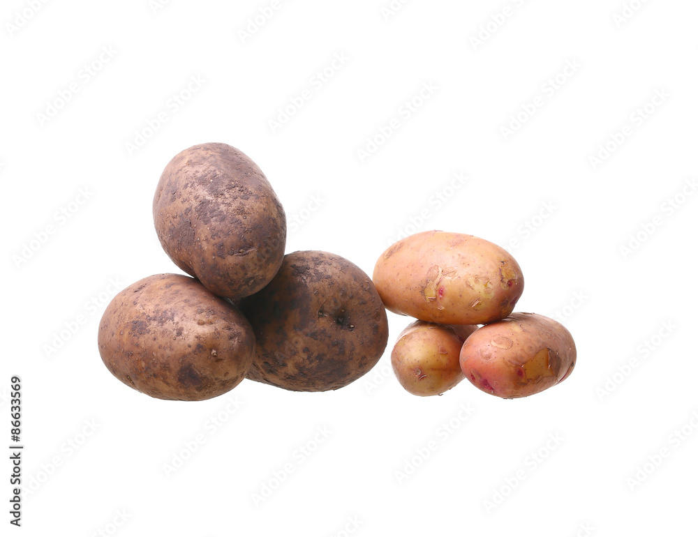 potato isolated on white background close up potato isolated on white background close up