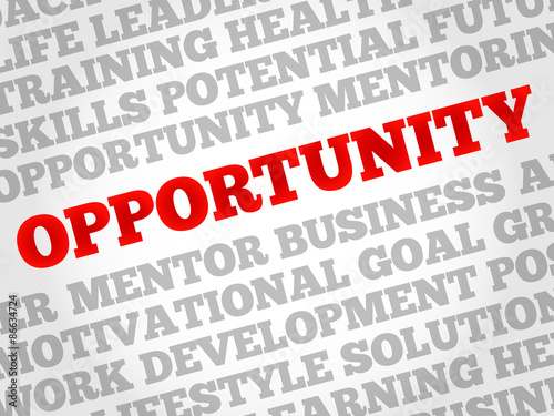 Opportunity word cloud, business concept