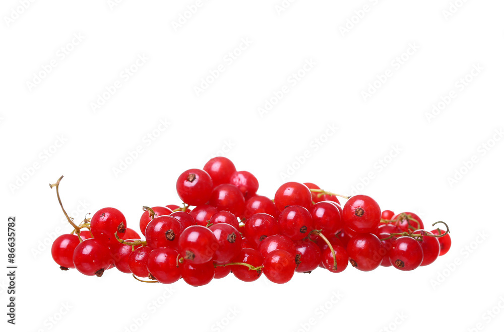 Branches of berry red currants isolated on a white background Branches of berry red currants isolated on a white background